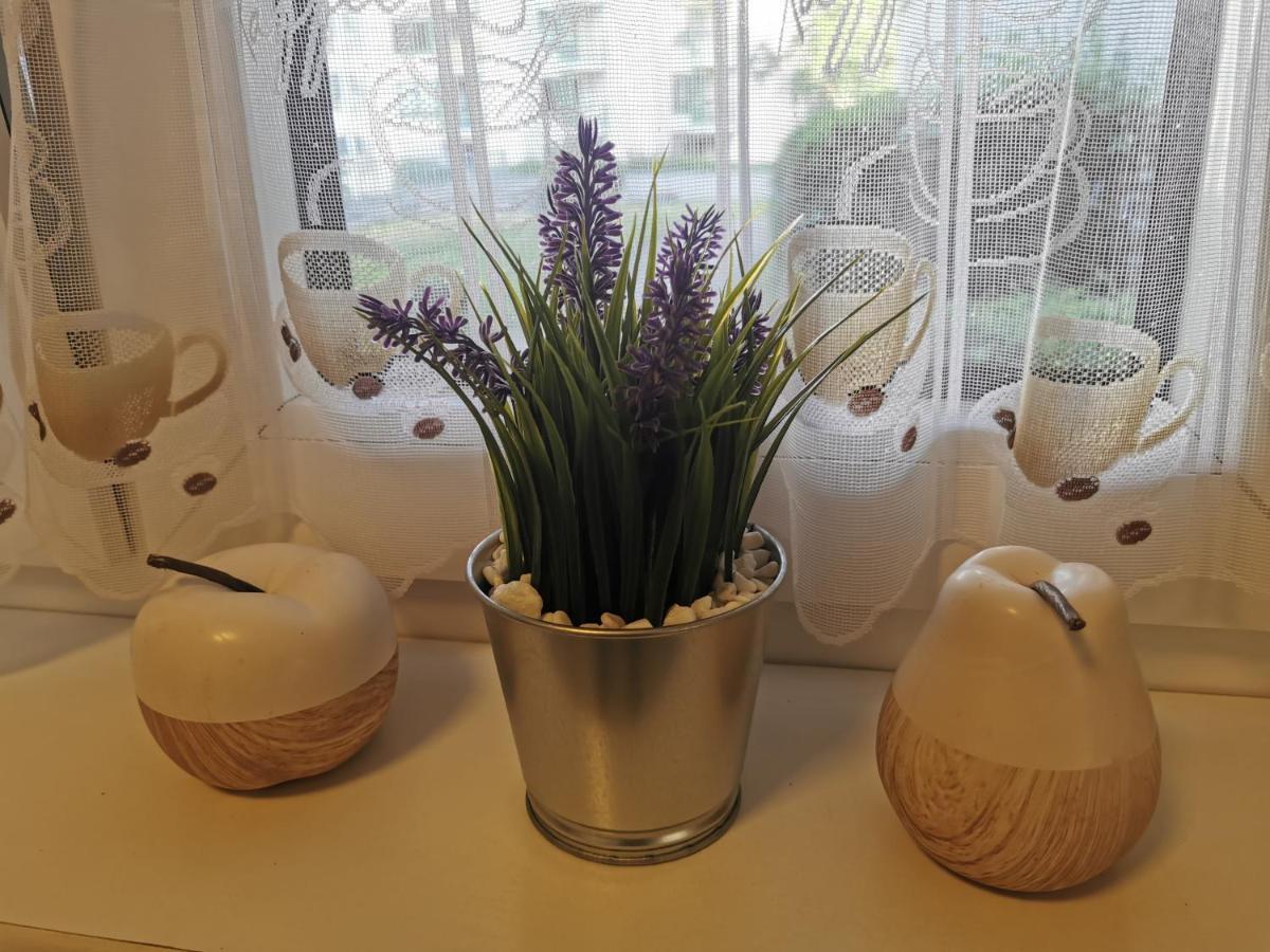 Schoene 3-zimmer Erdgeschosswohnung Am Bergpark,unesco,therme,train, Wilhelmshoeher Allee 329